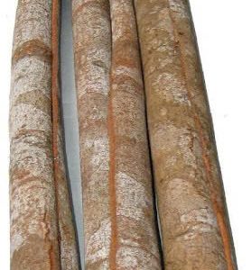 CASSIA WHOLE TUBE